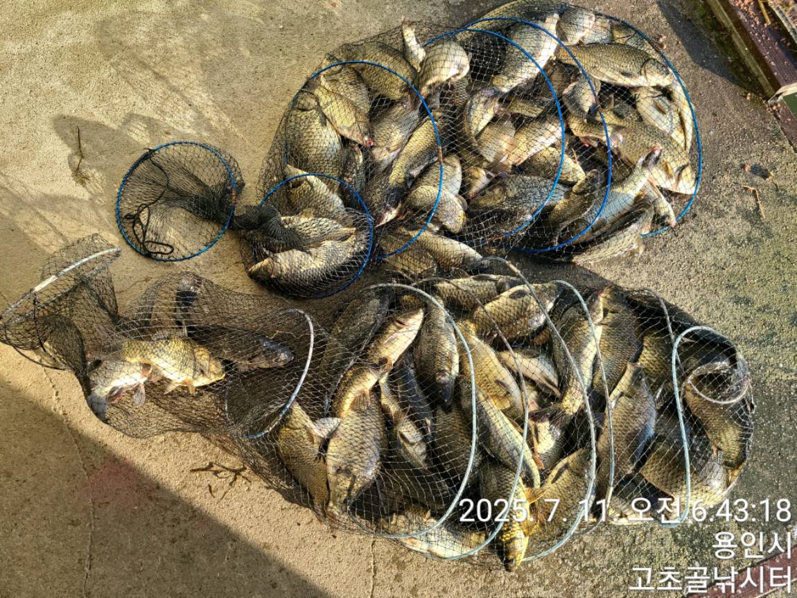 1752202469596.jpg