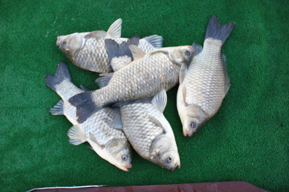 [ũ⺯ȯ]IMG_6812.JPG
