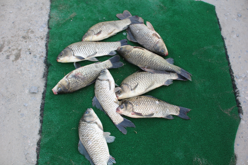 [ũ⺯ȯ]IMG_6878.JPG