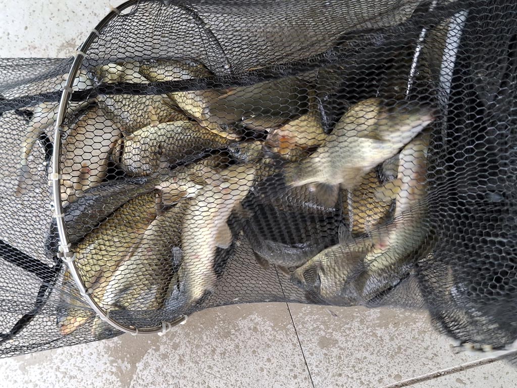 KakaoTalk_20250714_075747503_01.jpg