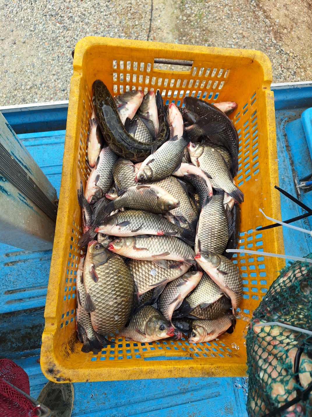 KakaoTalk_20250714_090128725_25.jpg