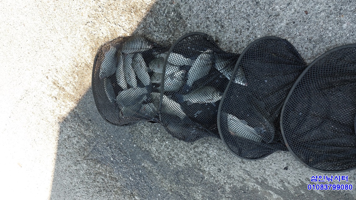 1752452149064.jpg