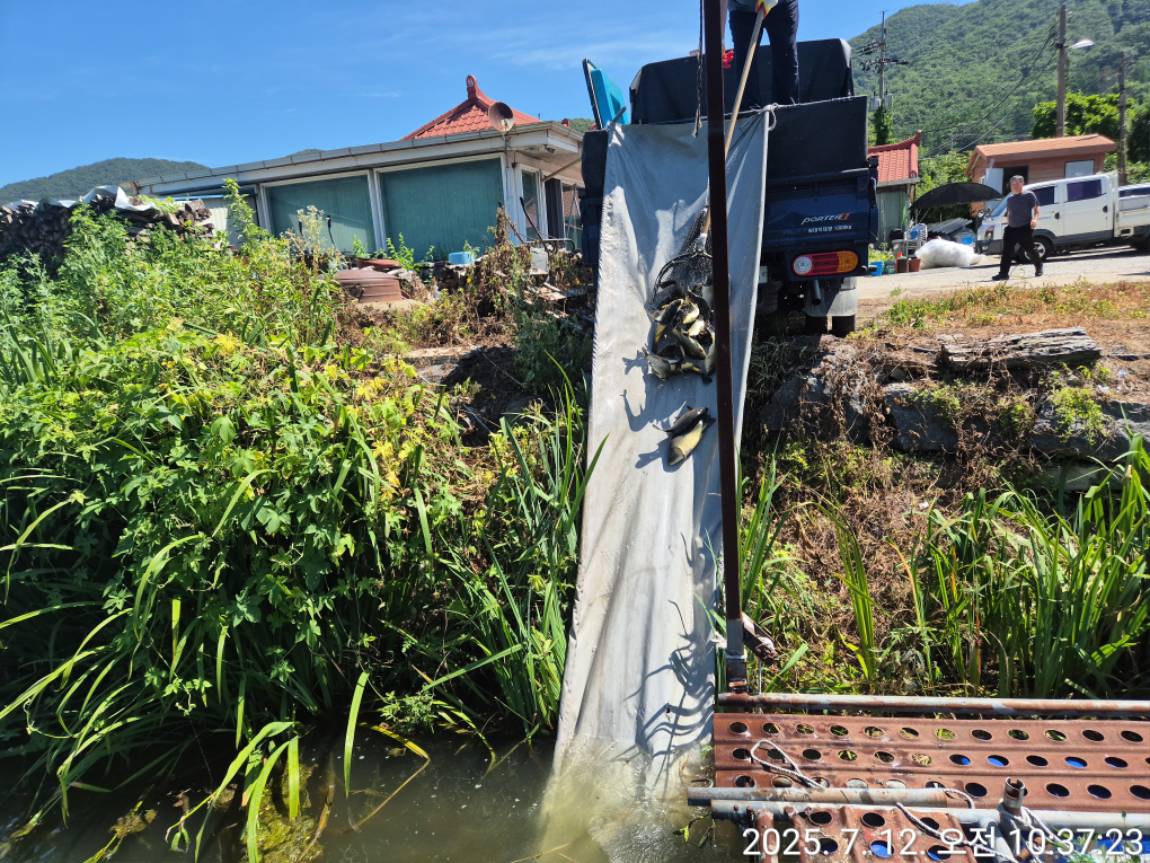 KakaoTalk_20250714_001157515_10.jpg