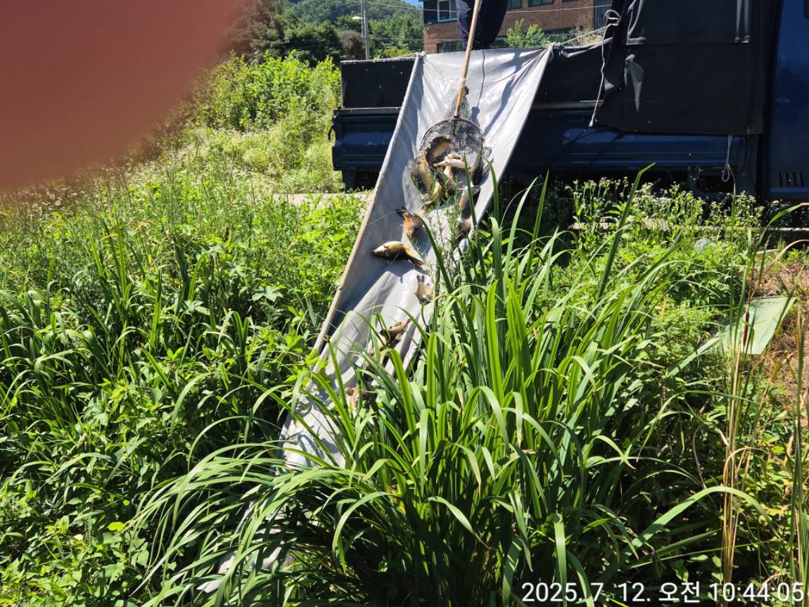 KakaoTalk_20250714_001157515_13.jpg