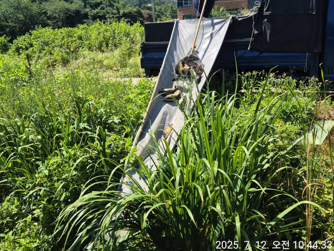 KakaoTalk_20250714_001157515_15.jpg