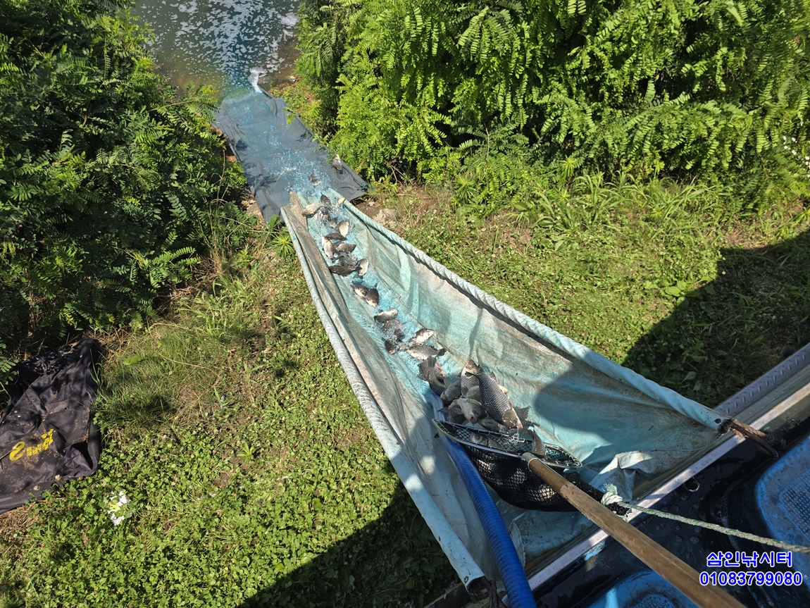 1752452154207.jpg