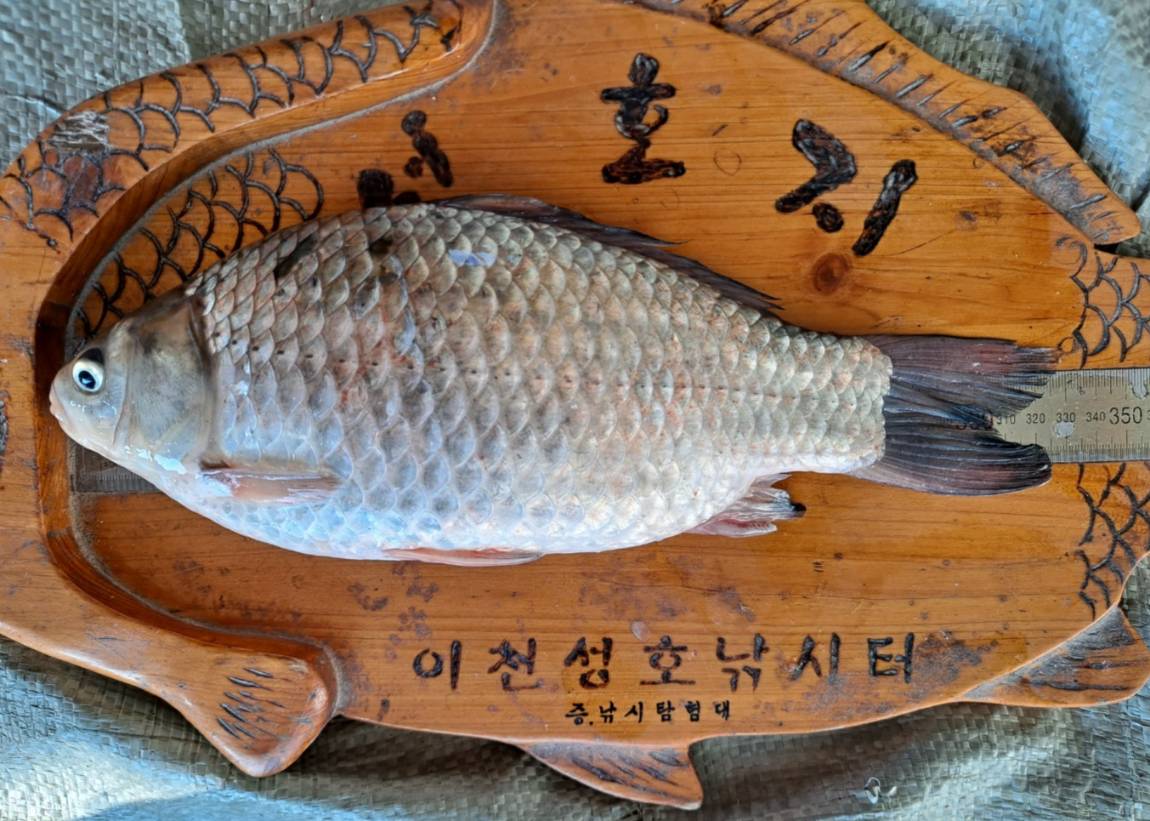 32.5 - 복사본.jpg