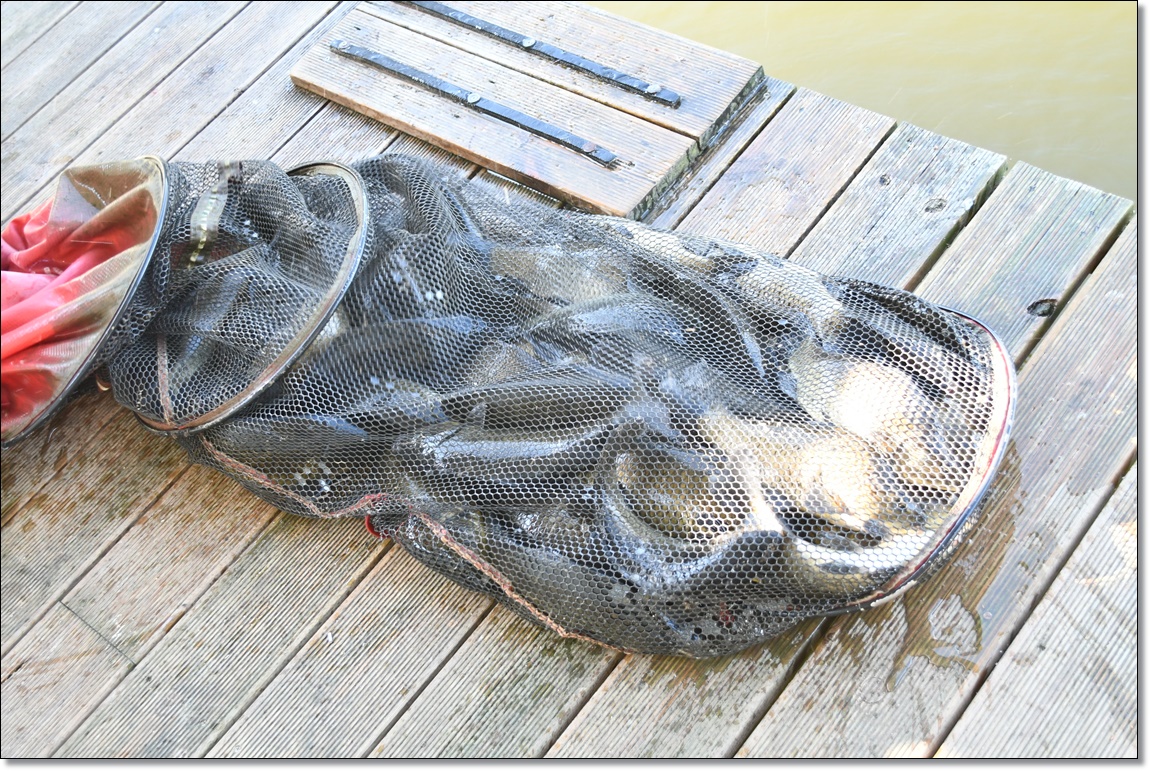 DSC_3649.JPG
