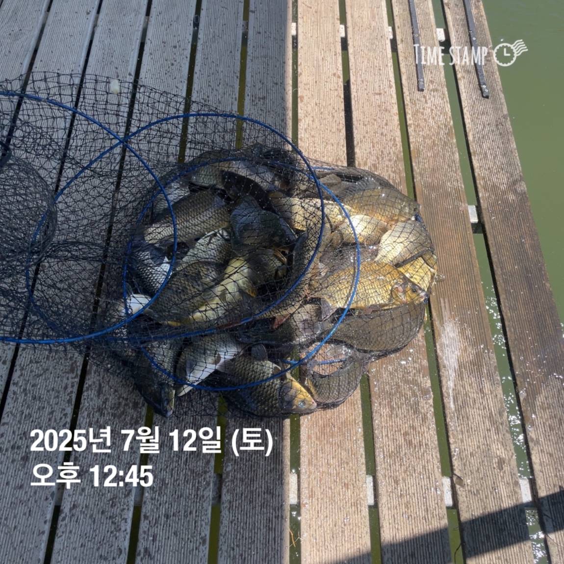 KakaoTalk_20250714_111320625_06.jpg