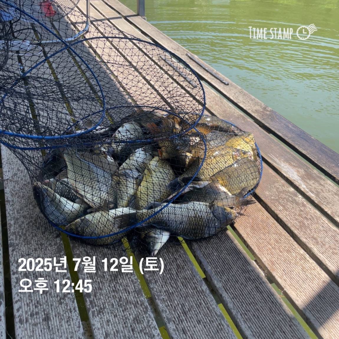 KakaoTalk_20250714_111320625_08.jpg