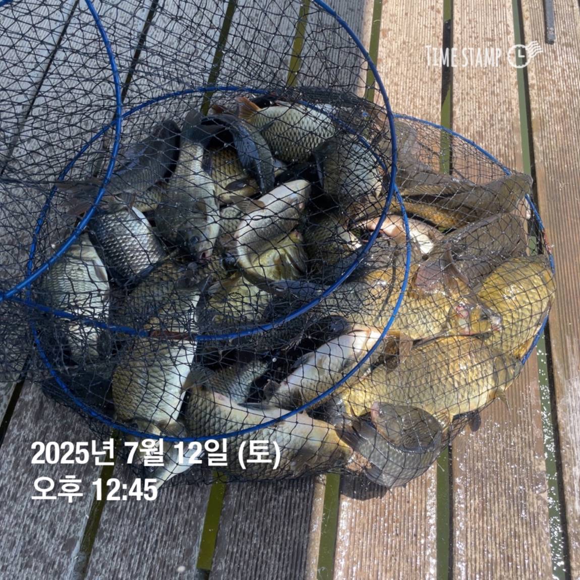 KakaoTalk_20250714_111320625_07.jpg