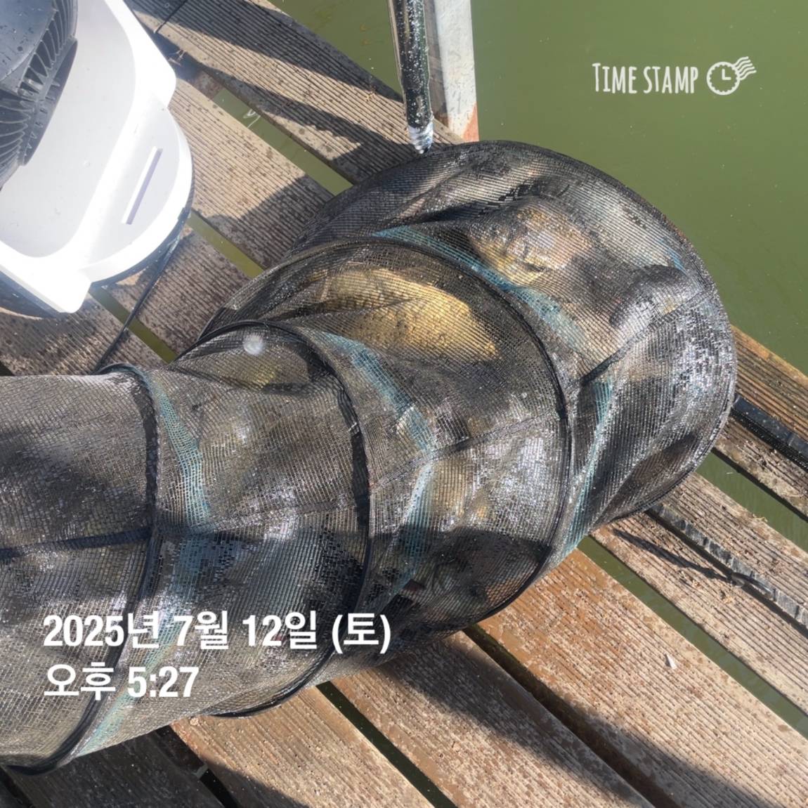 KakaoTalk_20250714_111320625_14.jpg