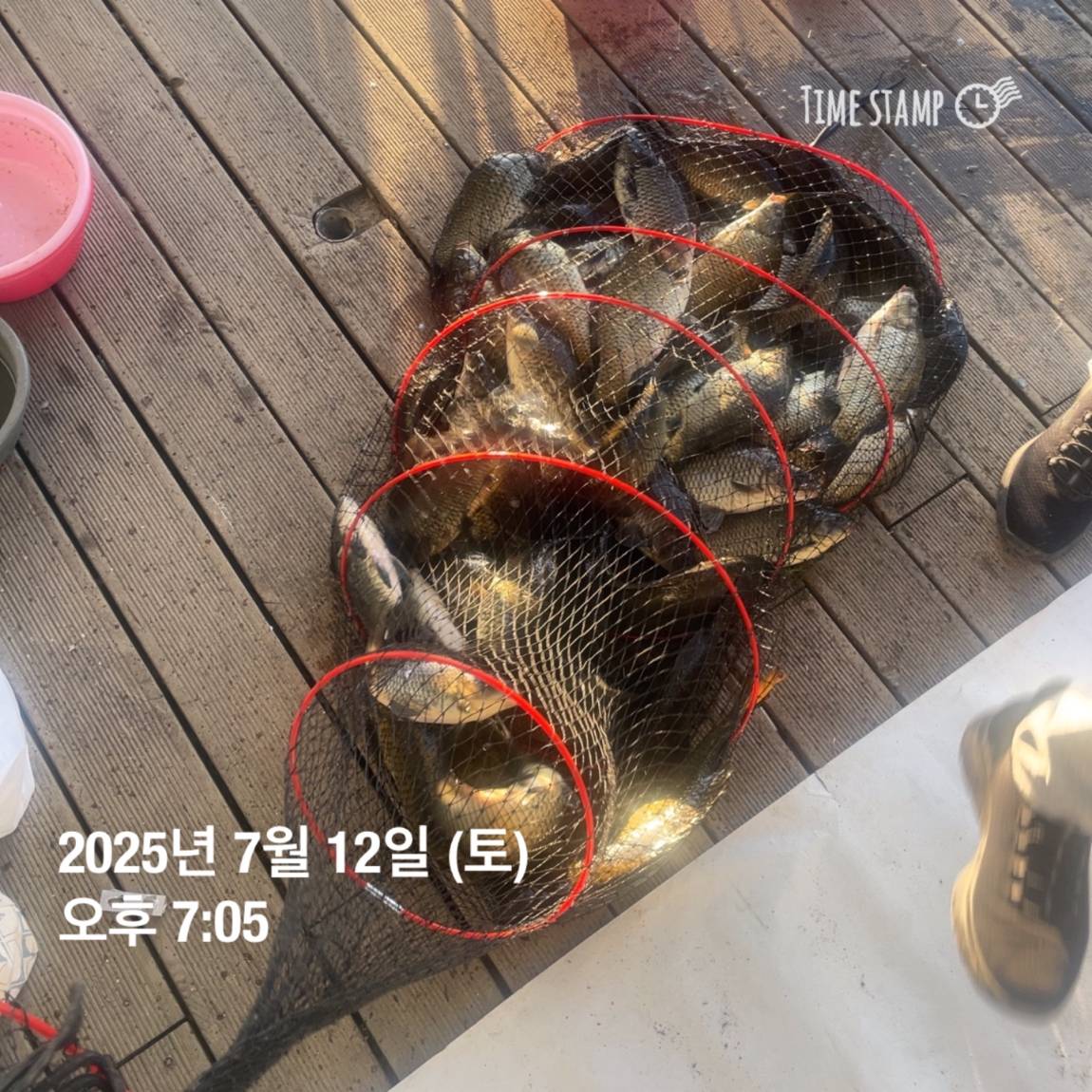 KakaoTalk_20250714_111320625_16.jpg