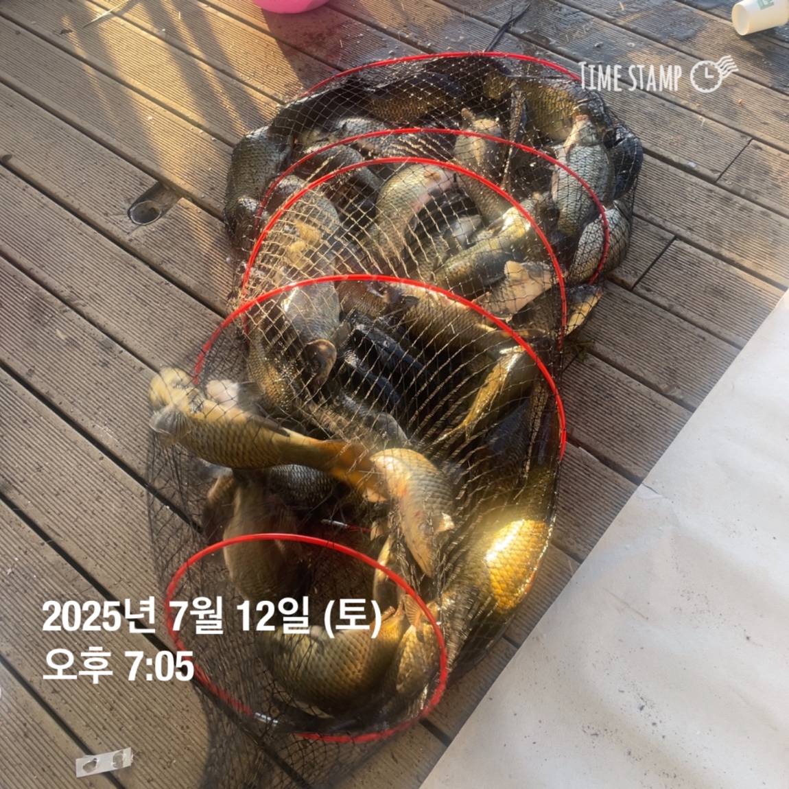 KakaoTalk_20250714_111320625_17.jpg