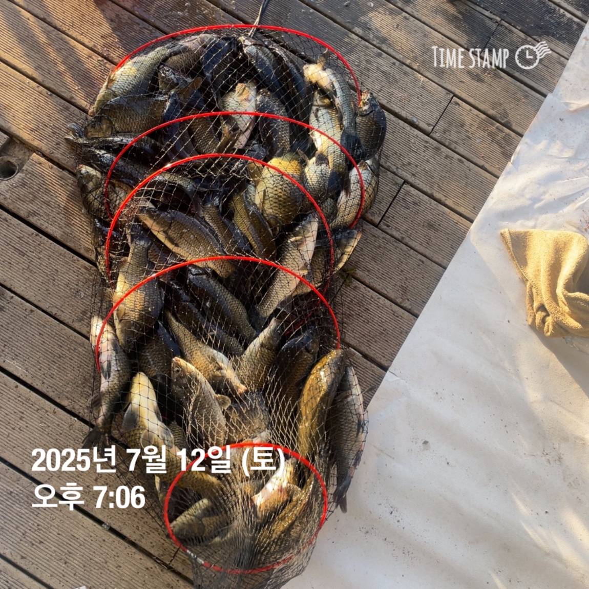 KakaoTalk_20250714_111320625_18.jpg