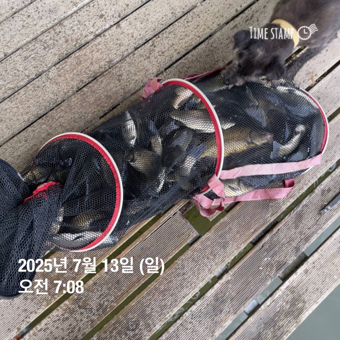 KakaoTalk_20250714_111320625_20.jpg