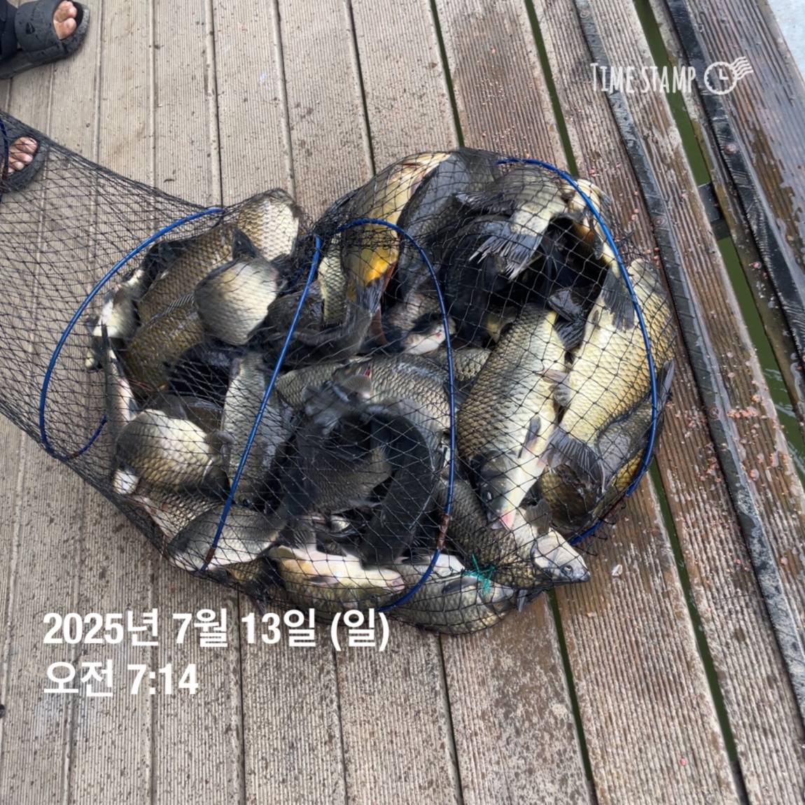 KakaoTalk_20250714_111320625_25.jpg