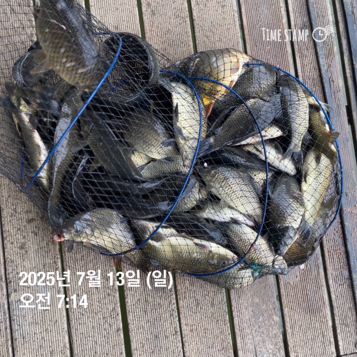 KakaoTalk_20250714_111320625_26.jpg