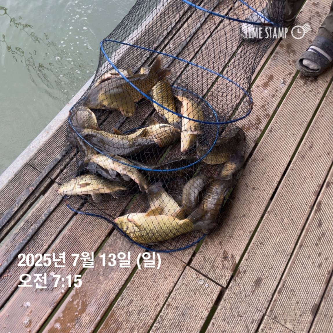 KakaoTalk_20250714_111320625_29.jpg