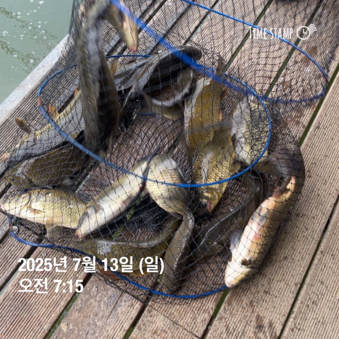 KakaoTalk_20250714_111326153.jpg