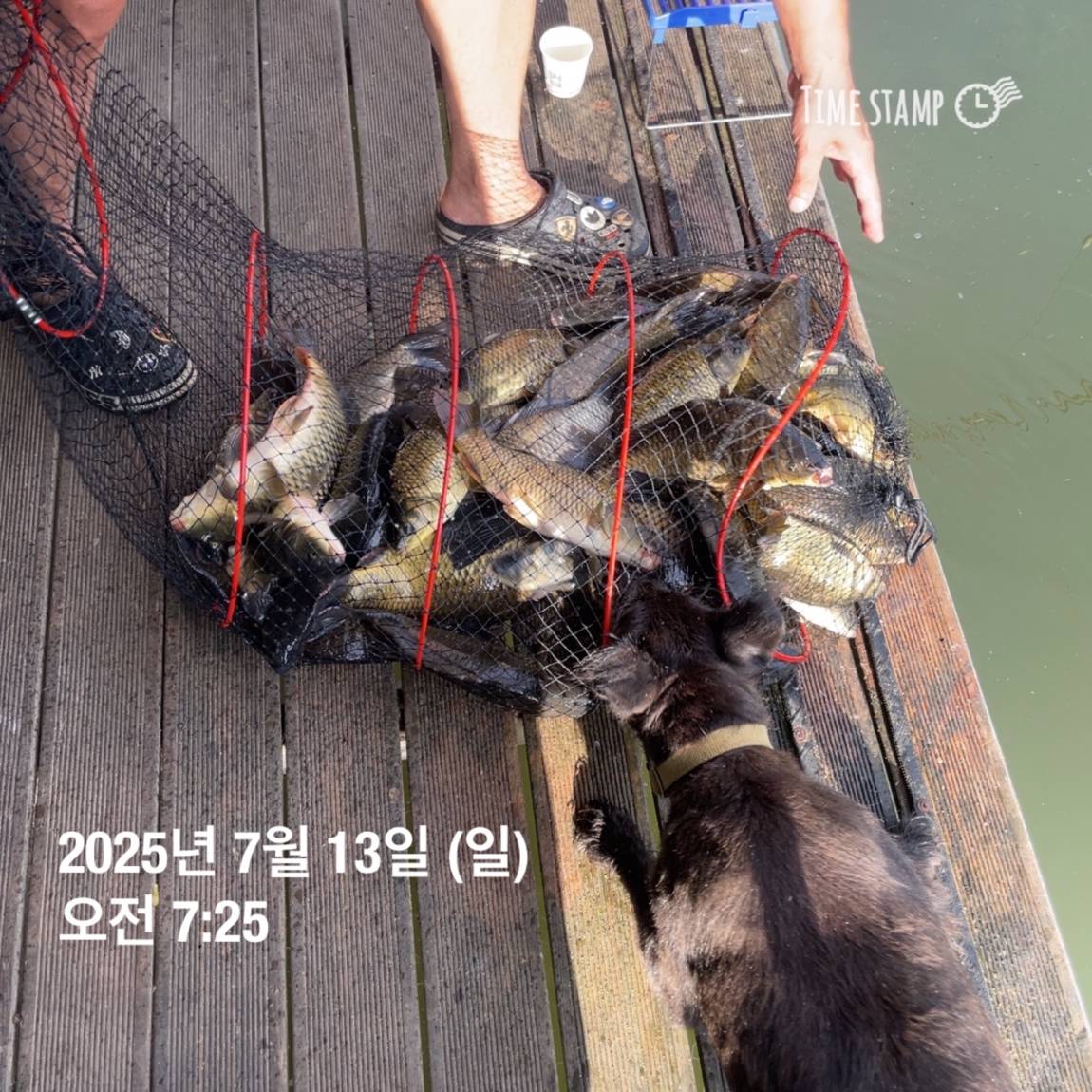 KakaoTalk_20250714_111326153_05.jpg