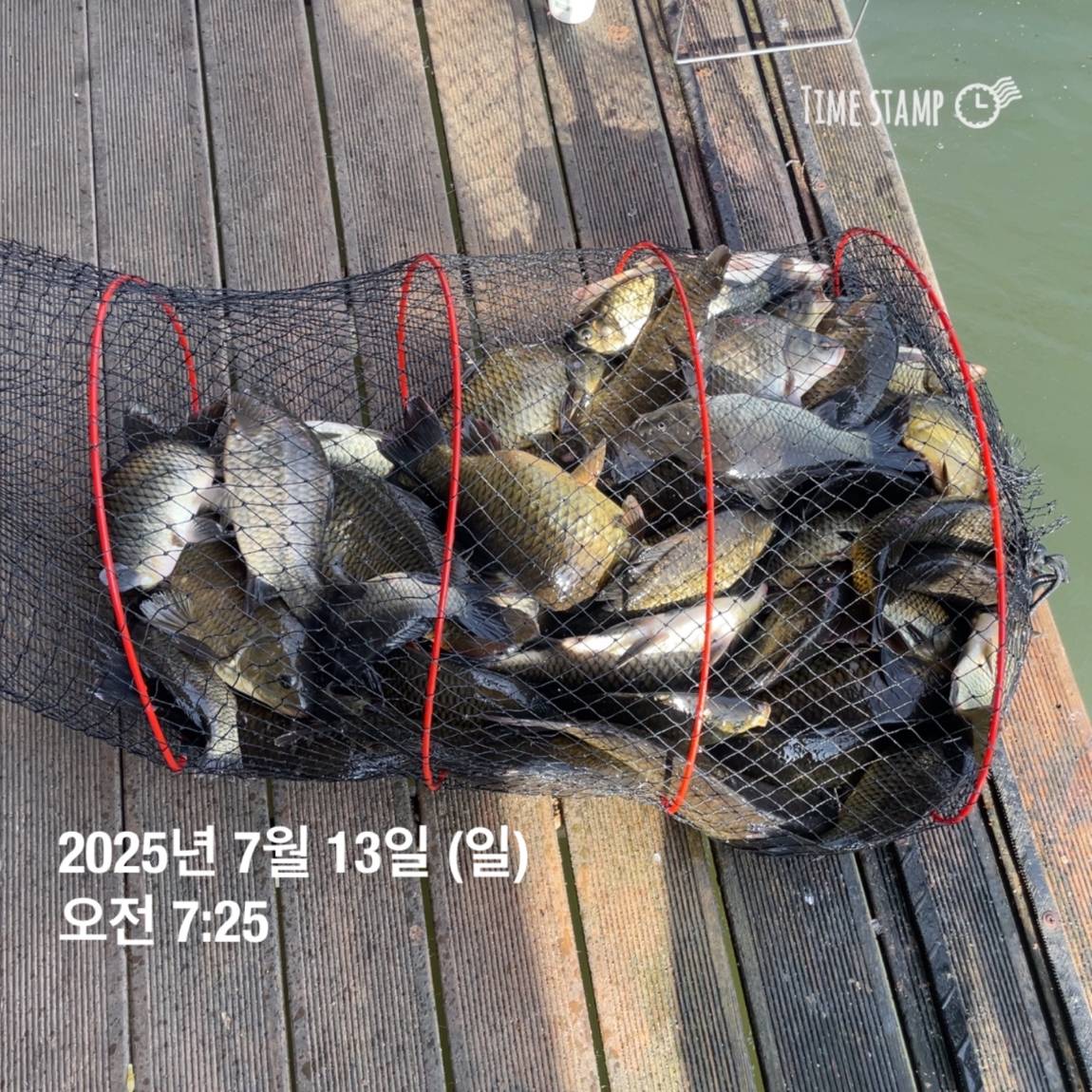 KakaoTalk_20250714_111326153_04.jpg