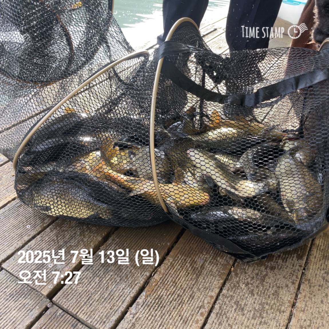 KakaoTalk_20250714_111326153_10.jpg