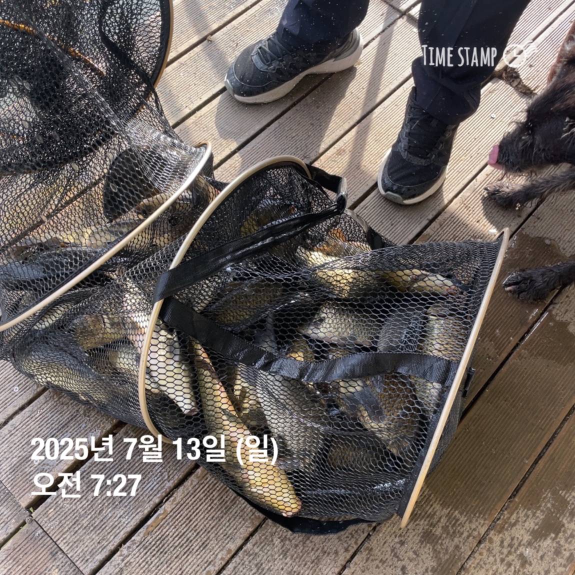 KakaoTalk_20250714_111326153_09.jpg