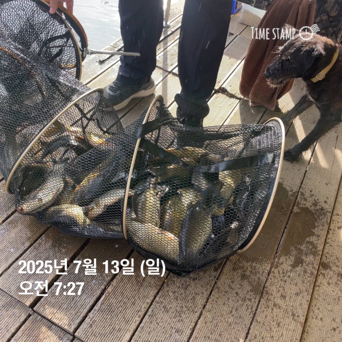 KakaoTalk_20250714_111326153_08.jpg