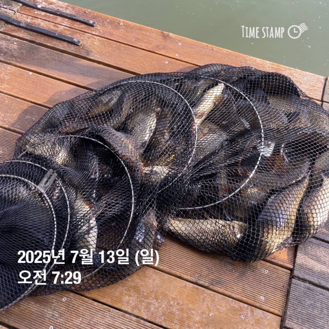 KakaoTalk_20250714_111326153_13.jpg