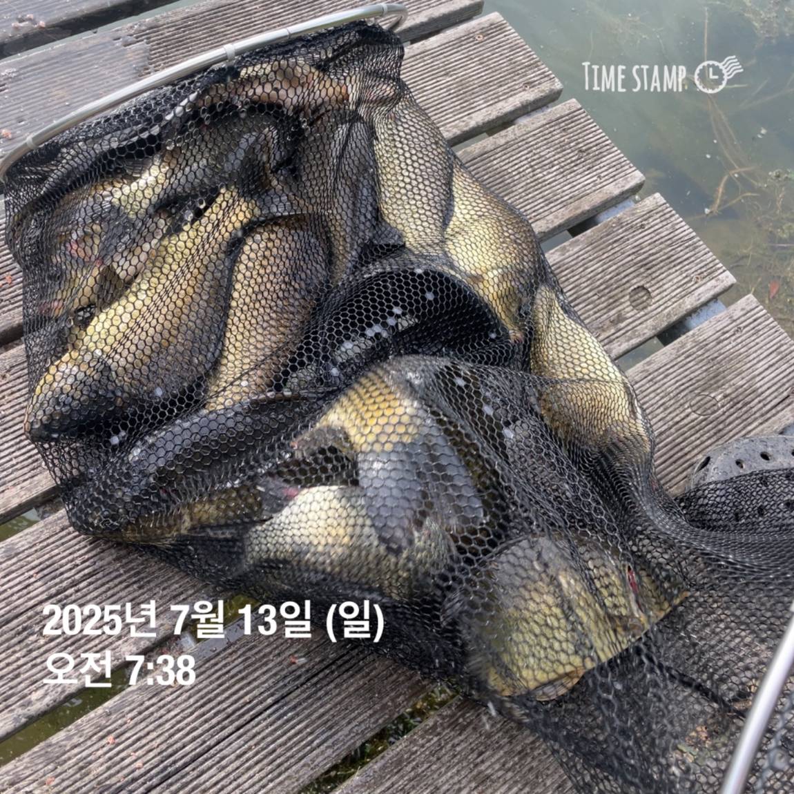 KakaoTalk_20250714_111326153_17.jpg