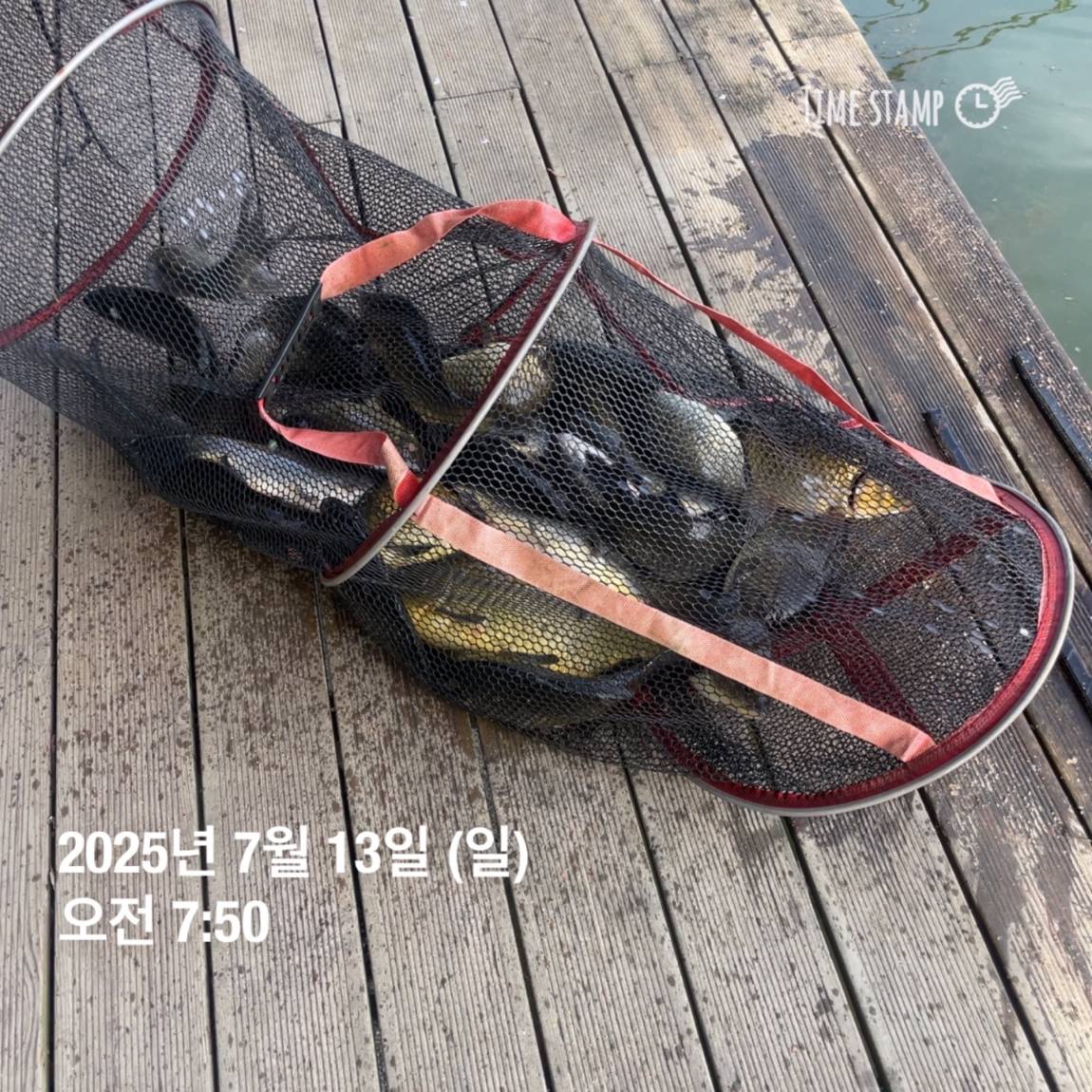 KakaoTalk_20250714_111326153_20.jpg