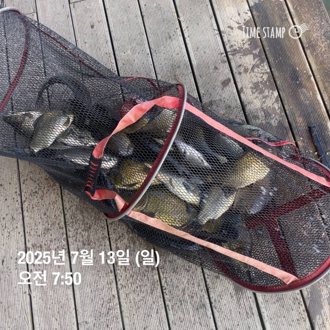 KakaoTalk_20250714_111326153_21.jpg