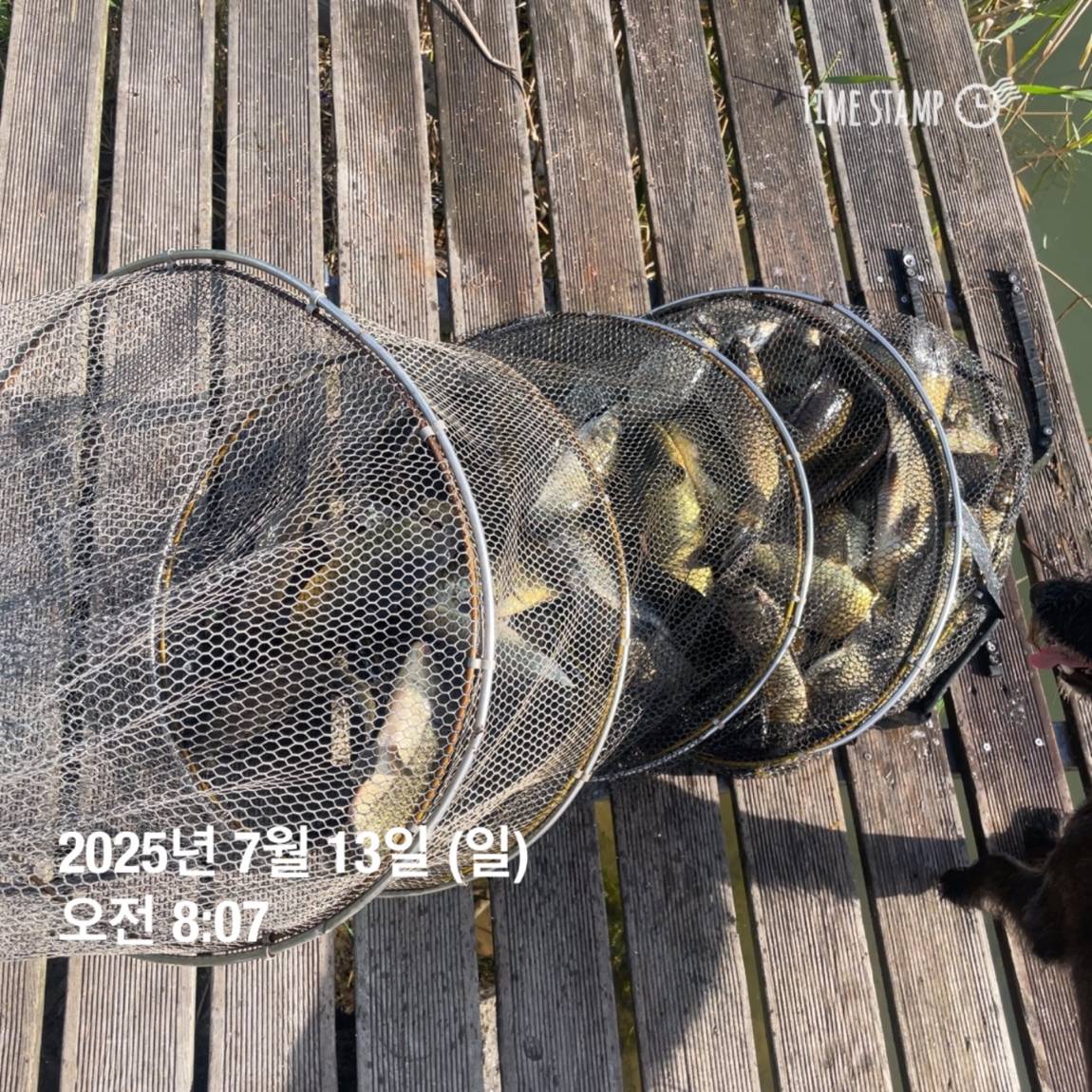 KakaoTalk_20250714_111326153_26.jpg