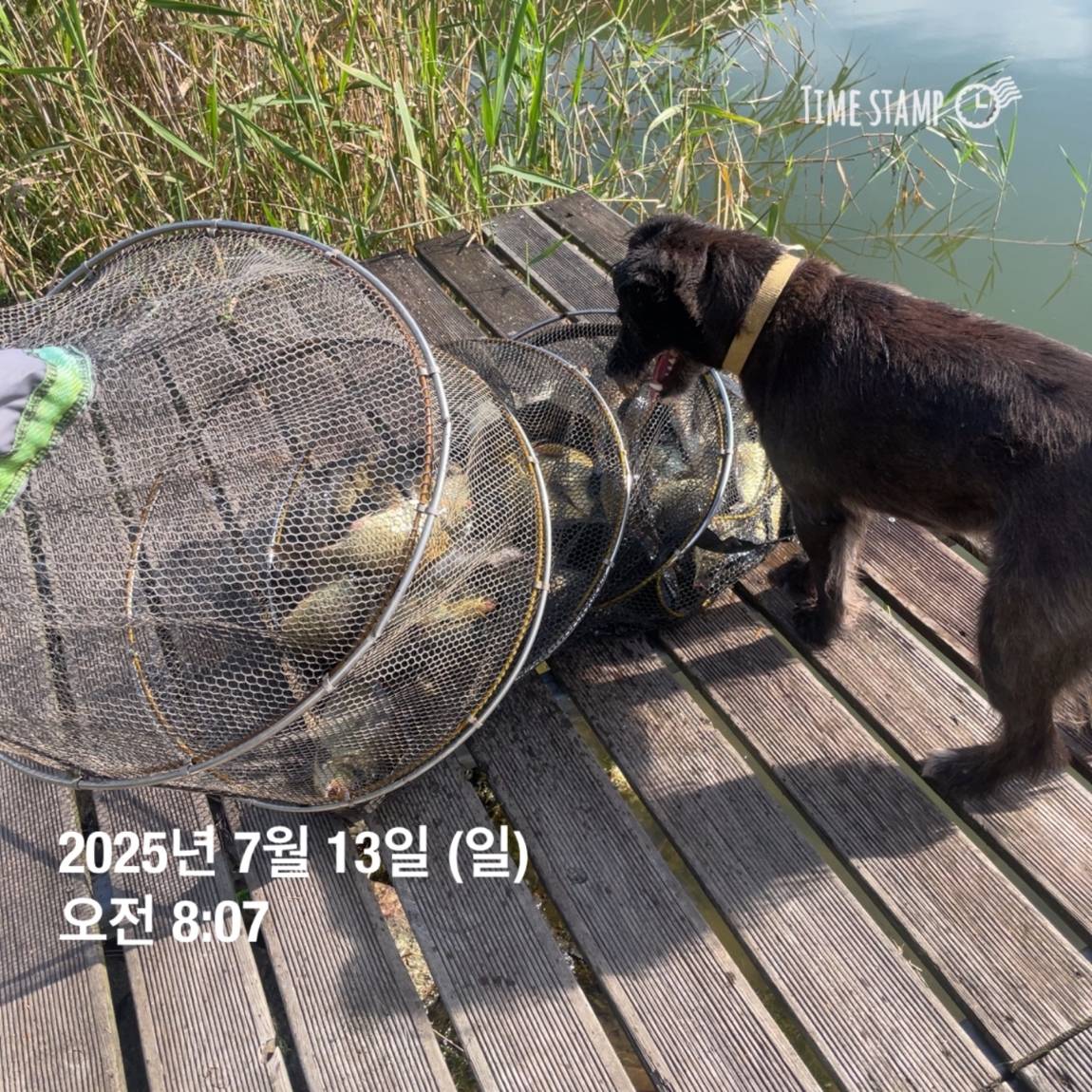 KakaoTalk_20250714_111326153_28.jpg