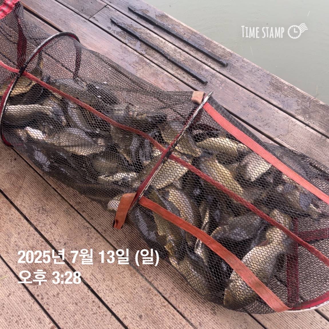 KakaoTalk_20250714_111330143_03.jpg