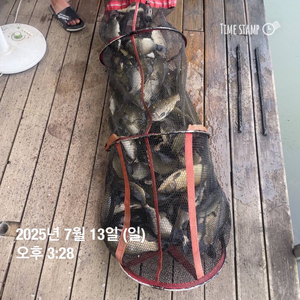 KakaoTalk_20250714_111330143_05.jpg