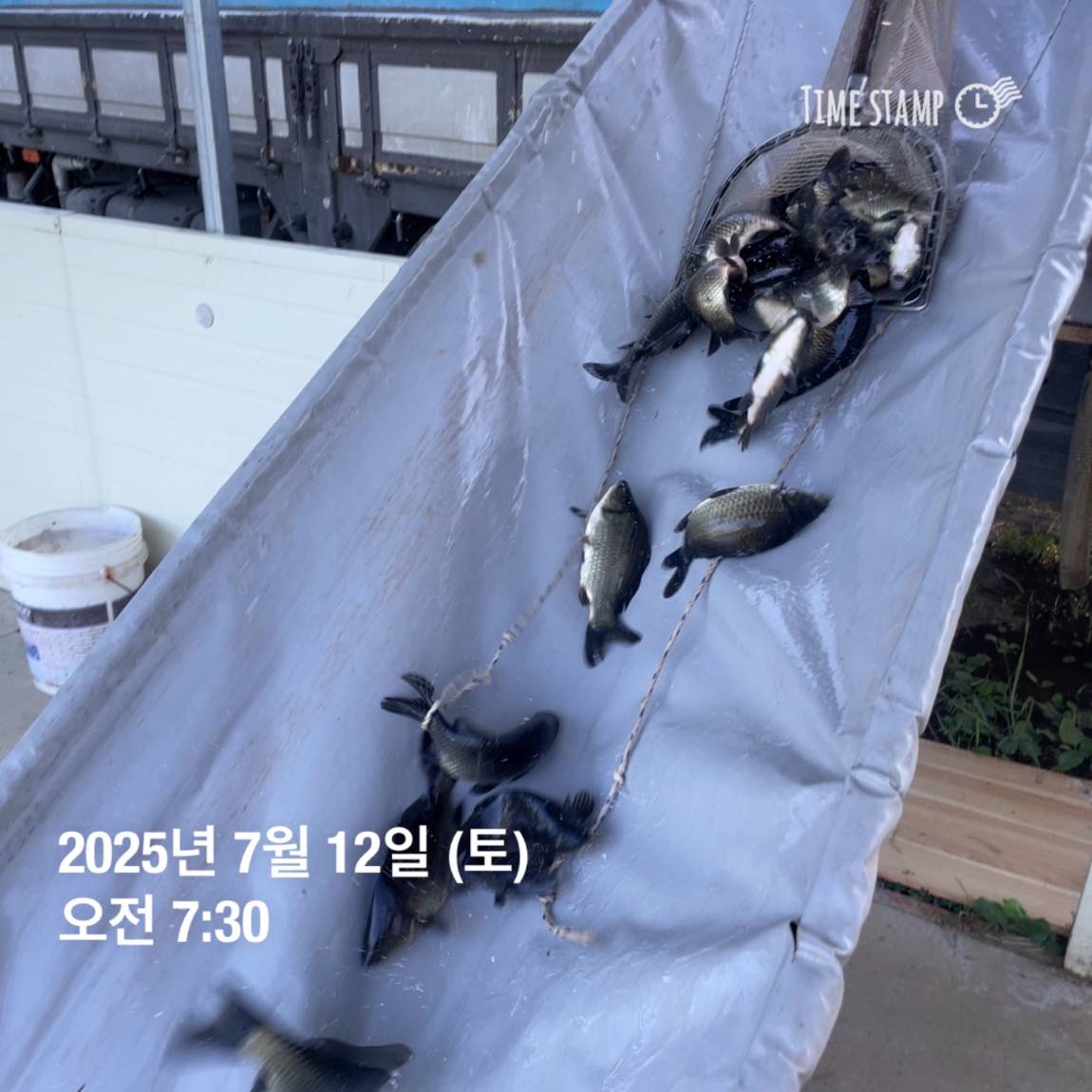 KakaoTalk_20250714_111330143_12.jpg