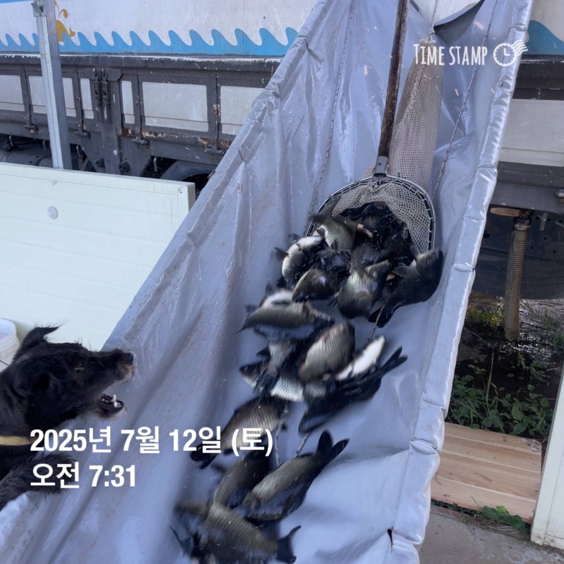 KakaoTalk_20250714_111330143_14.jpg