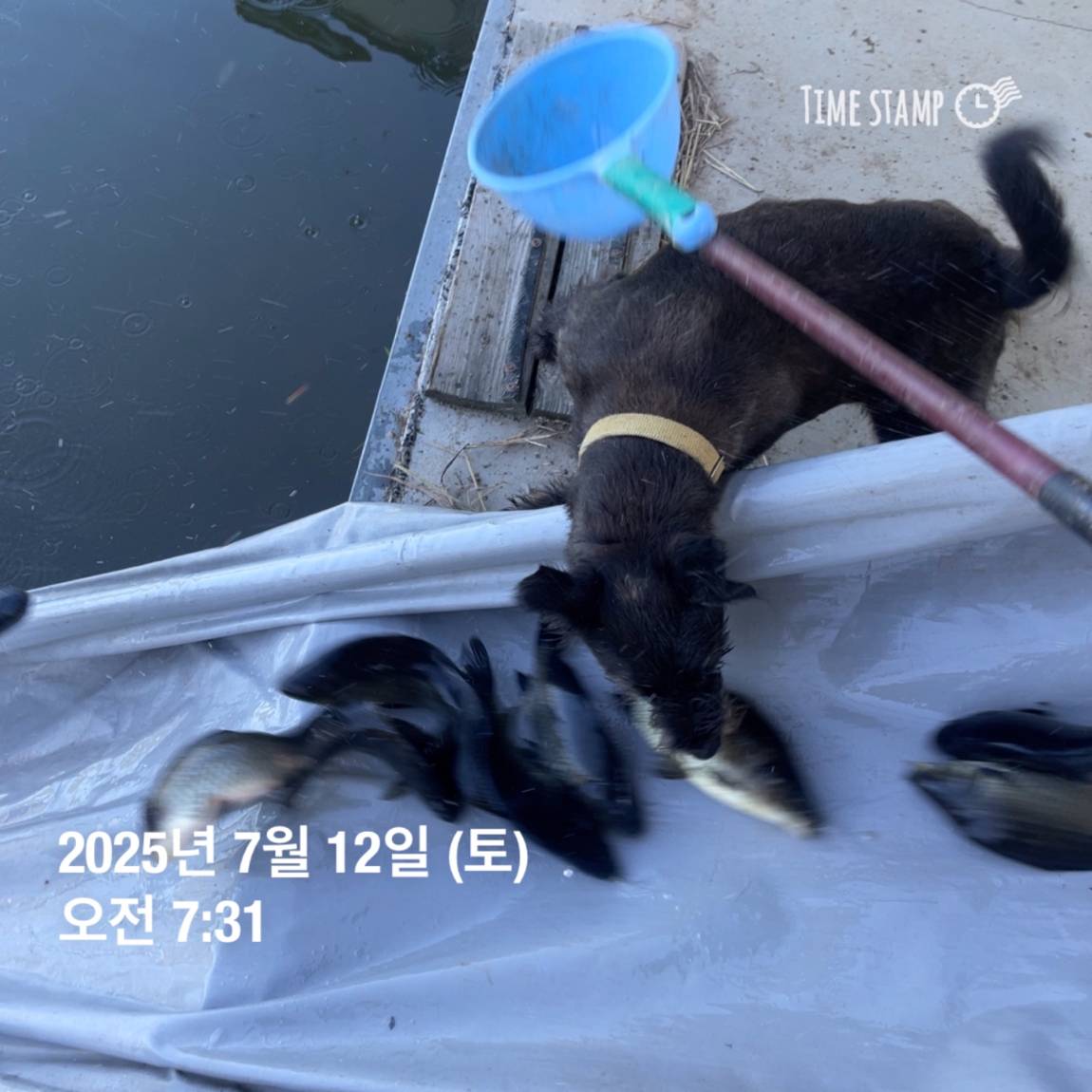 KakaoTalk_20250714_111330143_15.jpg