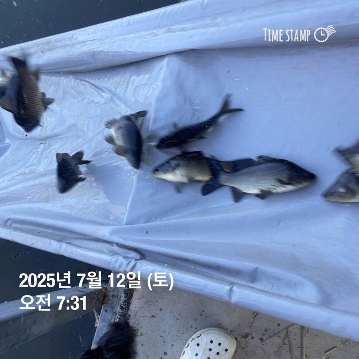 KakaoTalk_20250714_111330143_20.jpg
