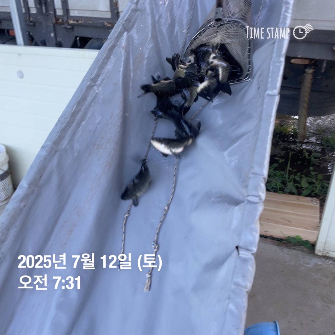 KakaoTalk_20250714_111330143_19.jpg
