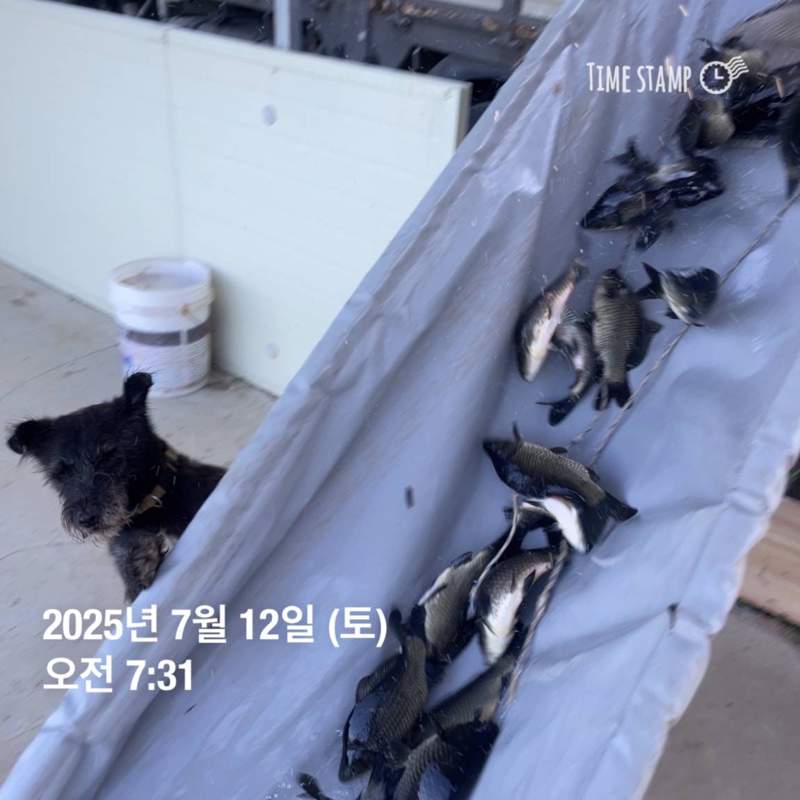 KakaoTalk_20250714_111330143_17.jpg