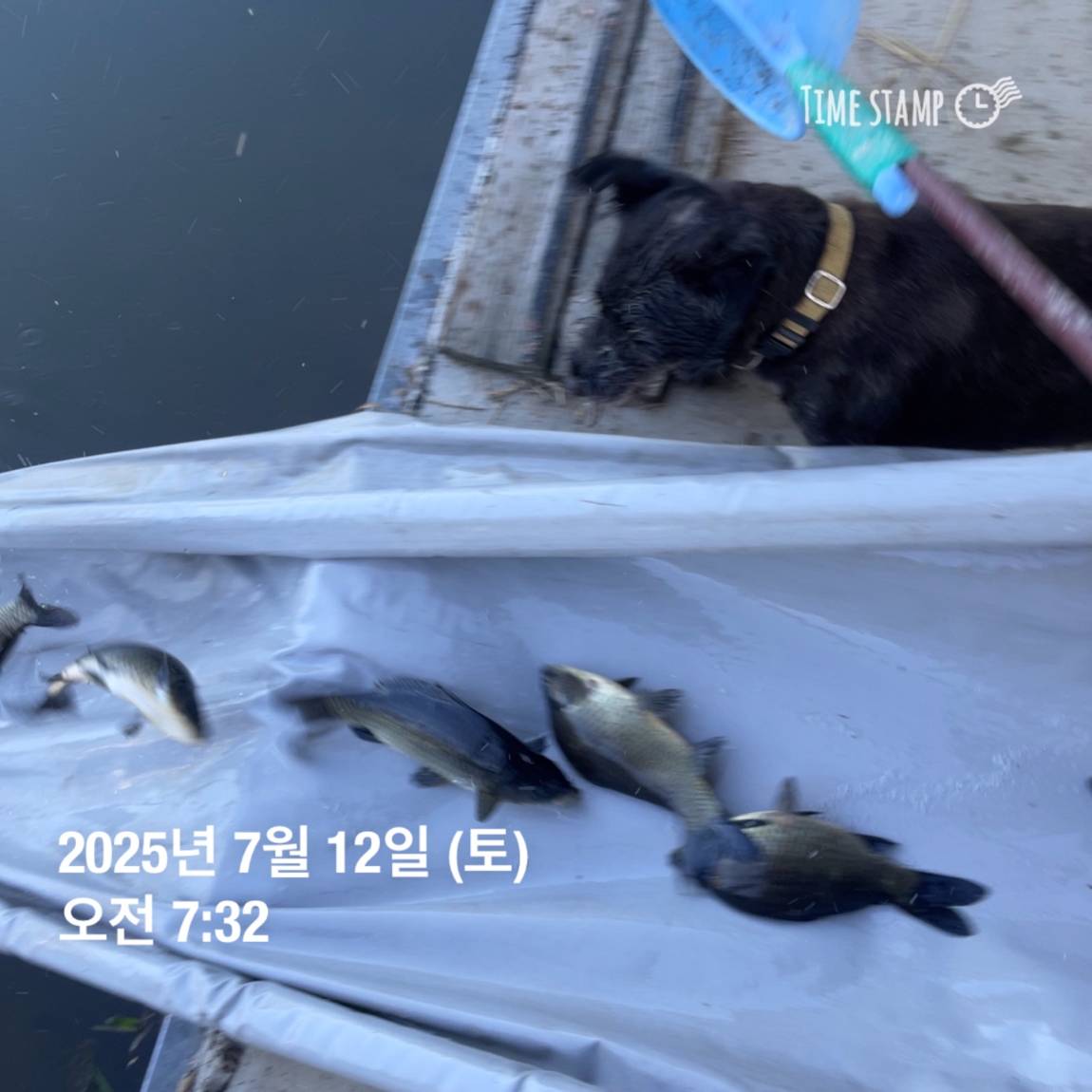 KakaoTalk_20250714_111330143_22.jpg