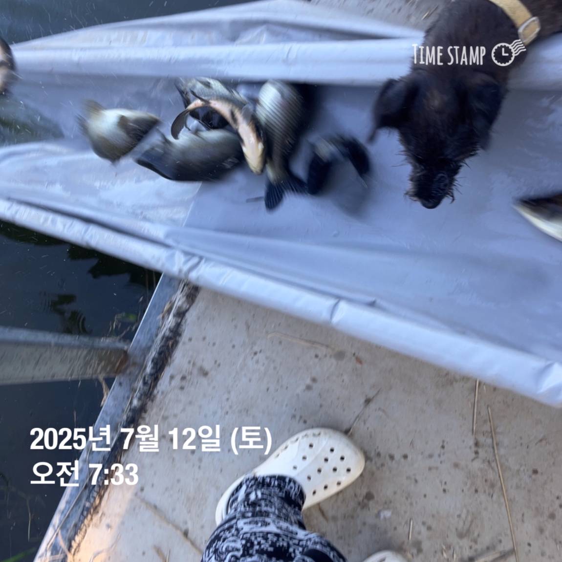 KakaoTalk_20250714_111330143_29.jpg