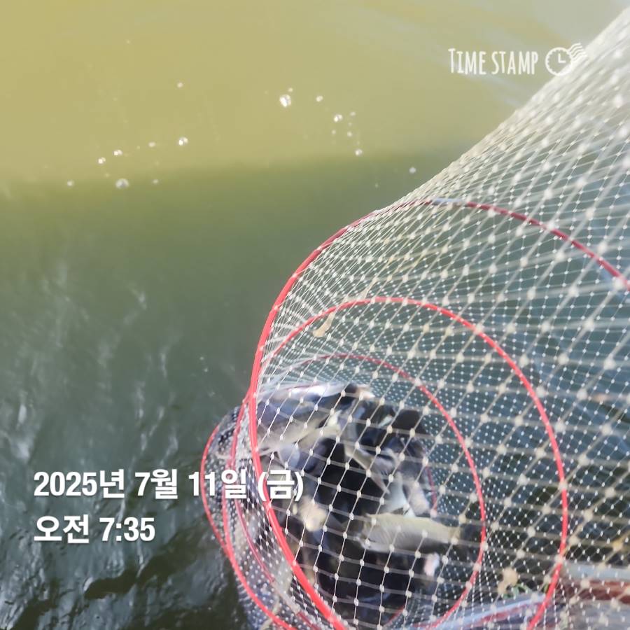 1752381224237.jpg