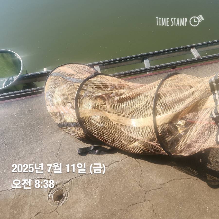 1752381224146.jpg