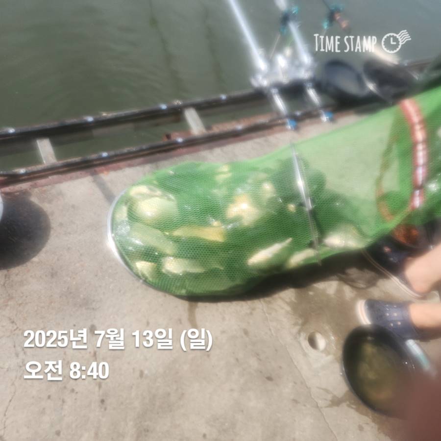 1752381292449.jpg