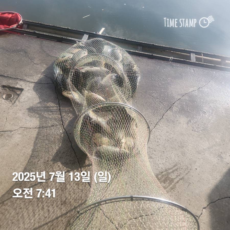1752381292808.jpg