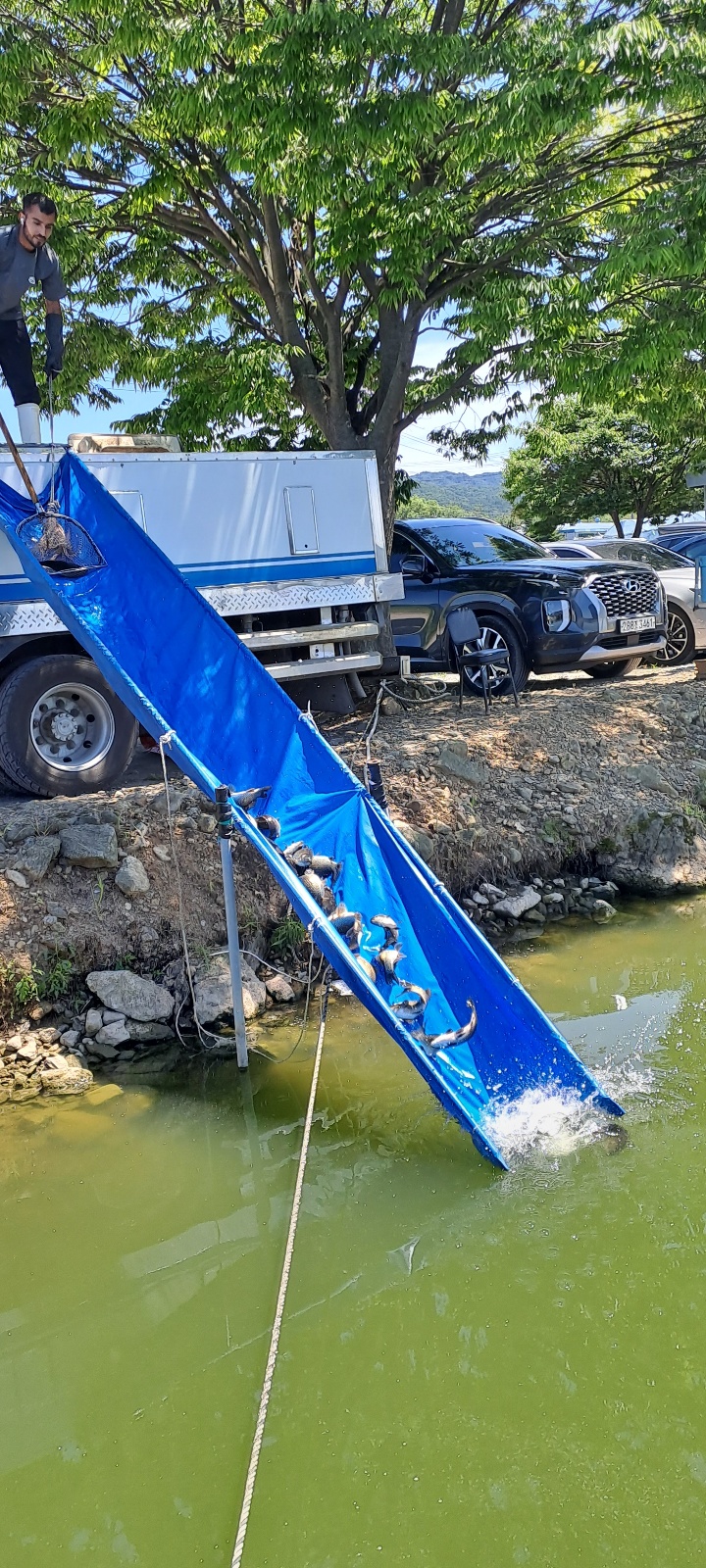 KakaoTalk_20250714_140538784_05.jpg